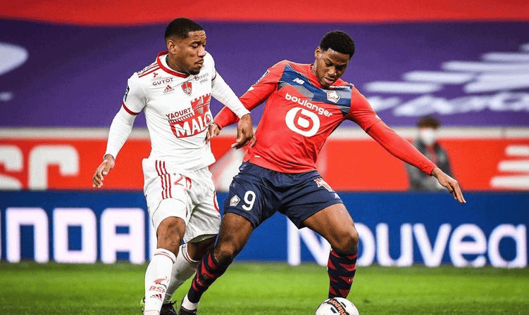 自然引起了 自然引起了